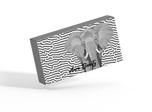 Daily Wear Soft (Hydrophilic) Contact Lens