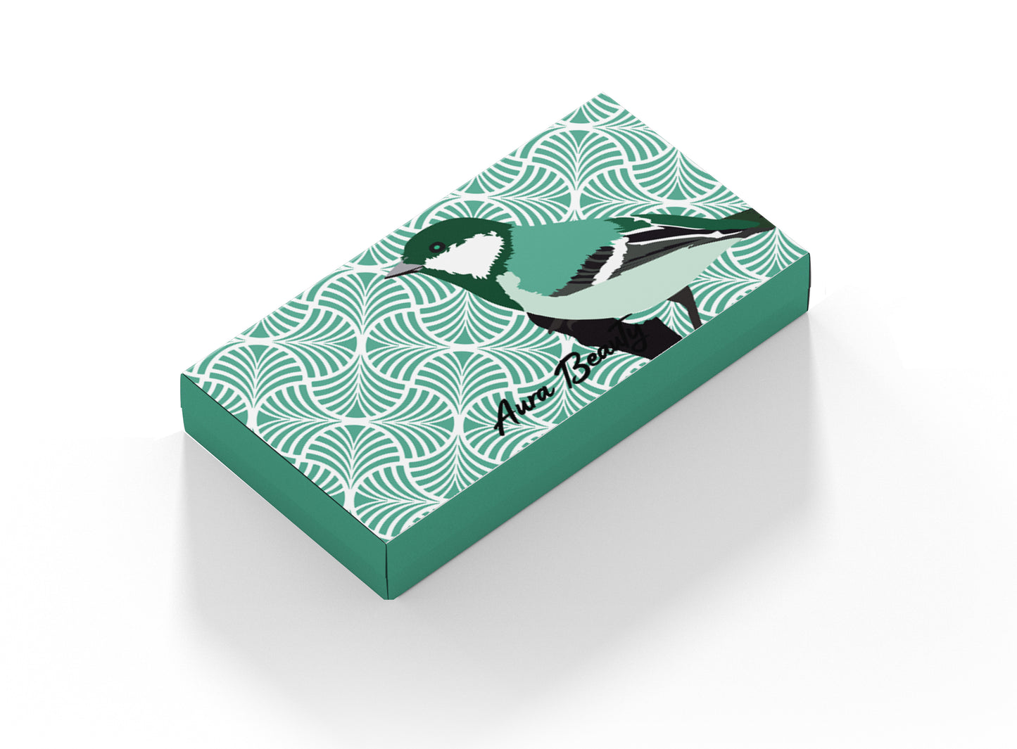 Daily Wear Soft (Hydrophilic) Contact Lens