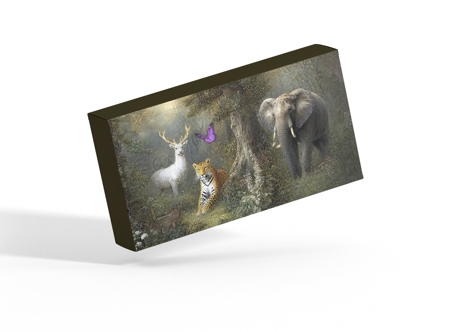 Daily Wear Soft (Hydrophilic) Contact Lens